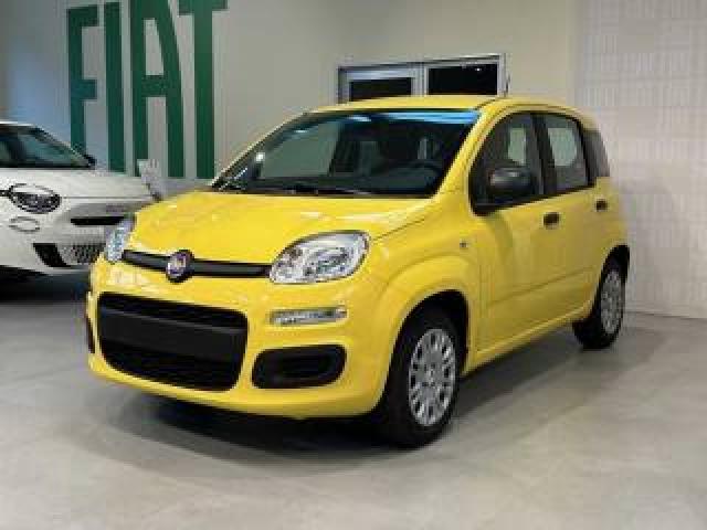Fiat Panda 1.0 Firefly S&s Hybrid Icon 