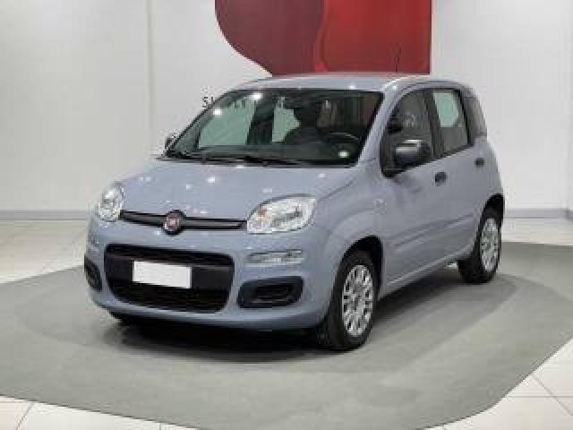 Fiat Panda 1.2 Easypower Easy 