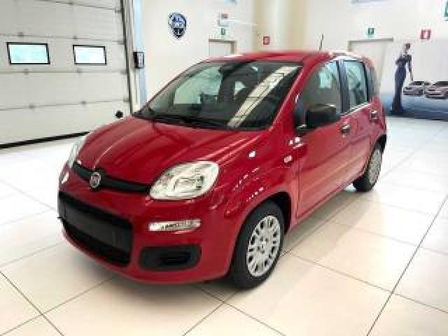 Fiat Panda 1.0 Firefly S&s Hybrid Icon 