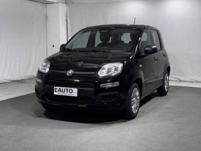 Fiat Panda 1.0 Firefly S&s Hybrid Icon 