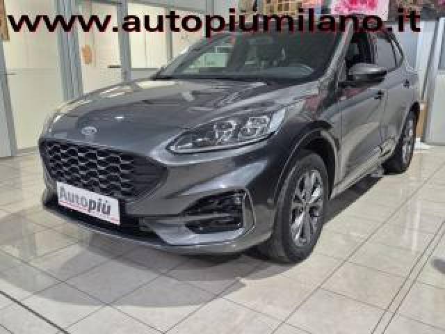 Ford Kuga 2.5 Plug In Hybrid 225 Cv Cvt 2wd St-Line X 