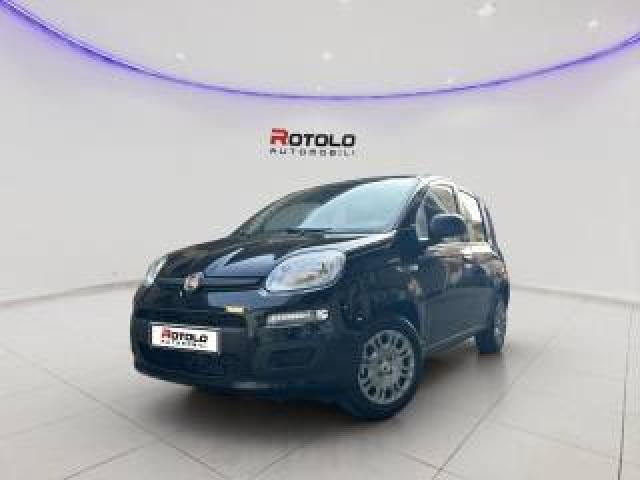Fiat Panda 1.0 Firefly S&s Hybrid Pop 