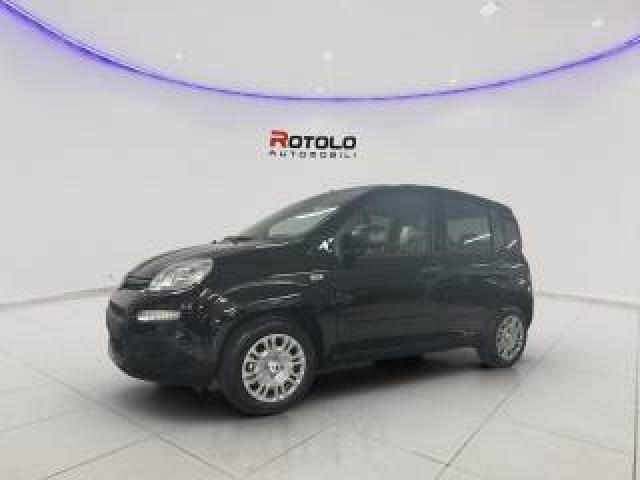 Fiat Panda 1.0 Firefly S&s Hybrid Icon 