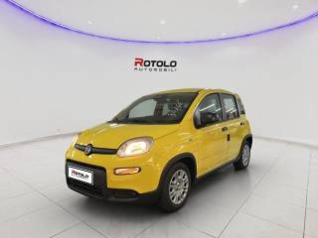 Fiat Panda 1.0 Firefly S&s Hybrid Pop 