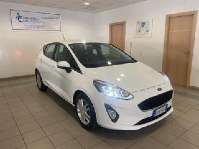 Ford Fiesta 1.5 Ecoblue 5 Porte Business 