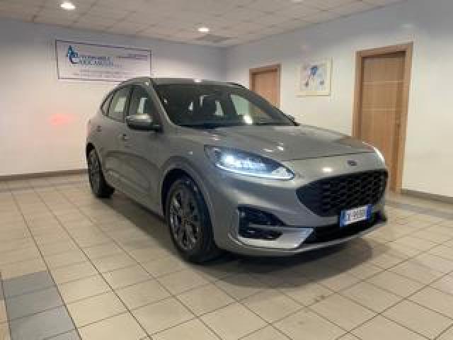 Ford Kuga 1.5 Ecoblue 120 Cv Aut. 2wd St-Line 