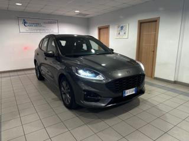 Ford Kuga 1.5 Ecoblue 120 Cv 2wd St-Line 