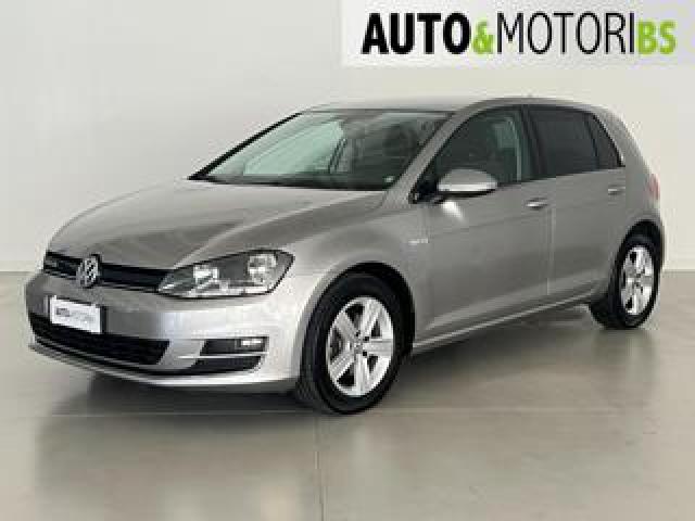 Volkswagen Golf Business 1.4 Tgi 5p. Highline Bluemotion 