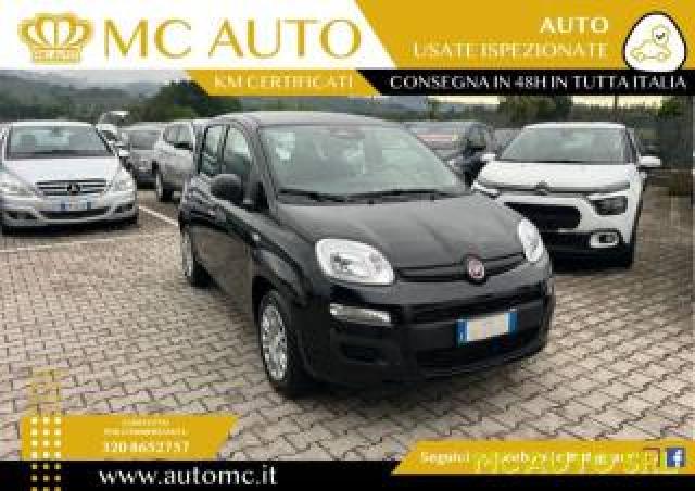 Fiat Panda 1.0 Firefly S&s Hybrid  Promo Con Finaziamento 