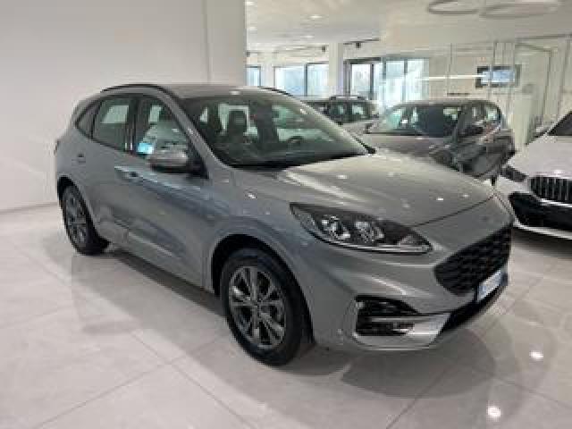 Ford Kuga 2.5 Plug In Hybrid 225 Cv Cvt 2wd St-Line Km Zero 