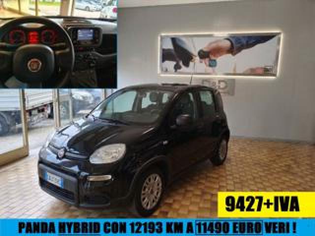 Fiat Panda Hybrid Tagliando E Garanzia Prezzo Vero 