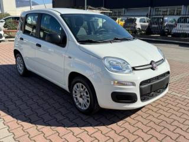 Fiat New Panda 1.2  S.&s. E6d-Temp Easy 5 Posti Guidabile Neopa 