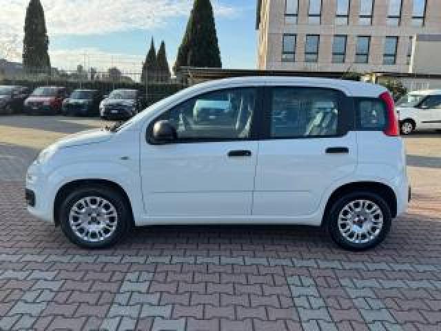 Fiat New Panda 1.2  S.&s. E6d-Temp Easy 5 Posti Guidabile Neopa 