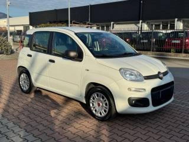 Fiat New Panda 1.2  S.&s. E6d-Temp Easy 5 Posti Guidabile Neopa 