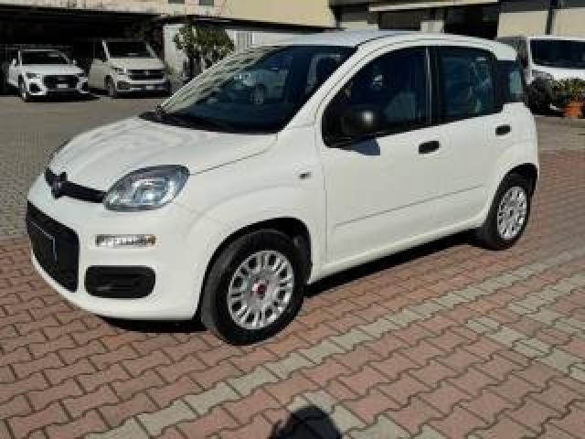 Fiat New Panda 1.2  S.&s. E6d-Temp Easy 5 Posti Guidabile Neopa 