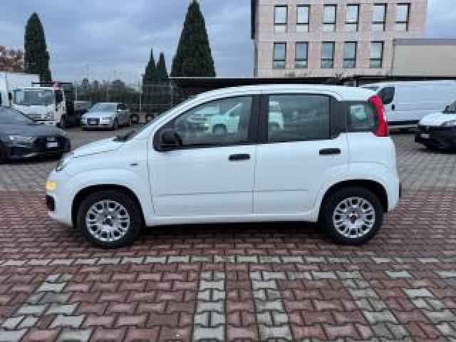 Fiat New Panda 1.2  S.&s. E6d-Temp Easy 5 Posti Guidabile Neopa 