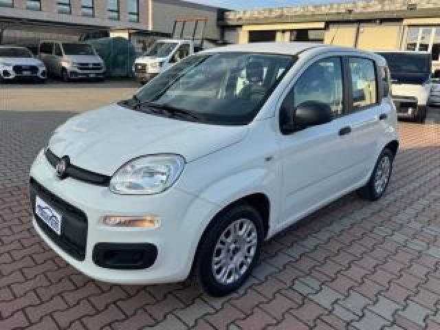Fiat New Panda 1.2  S.&s. E6d-Temp Easy 5 Posti Guidabile Neopa 