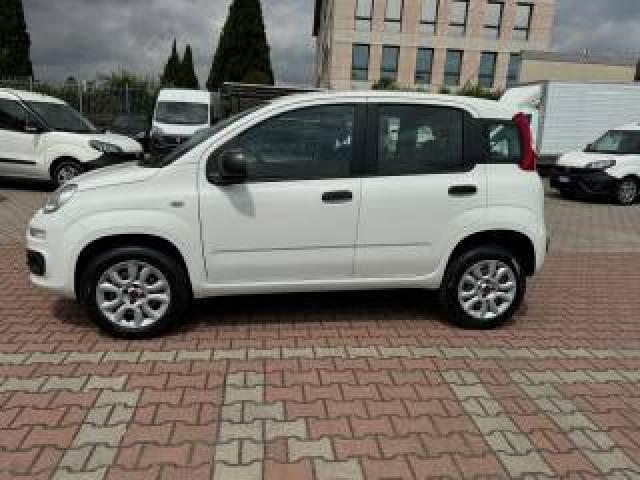 Fiat New Panda 0.9 Twinair Turbo Natural Power Easy 