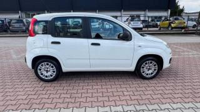 Fiat New Panda 1.2  S.&s. E6d-Temp Easy 5 Posti Guidabile Neopa 