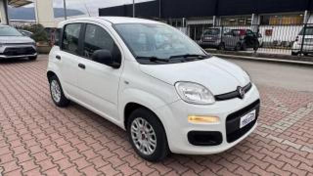 Fiat New Panda 0.9 Twinair Turbo S&s Easy Cambio Automatico 