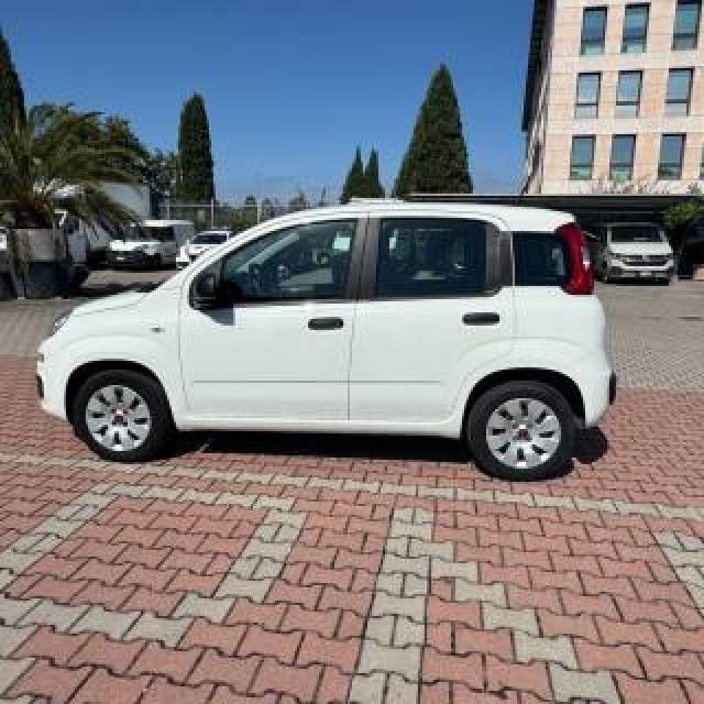 Fiat New Panda 1.2 Pop Aziendale Guidabile Da Neopatentato 