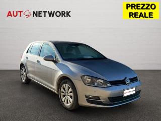 Volkswagen Golf 1.6 Tdi 110 Cv 5p. Business Bluemotion 