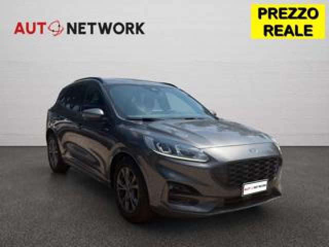 Ford Kuga 2.0 Ecoblue 120 Cv Aut. 2wd St-Line 