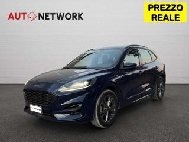 Ford Kuga 2.0 Ecoblue Hybrid 150 Cv 2wd St-Line 