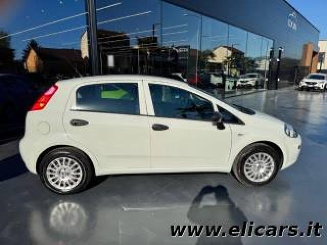 Fiat Punto 1.2 8v 5 Porte Street 