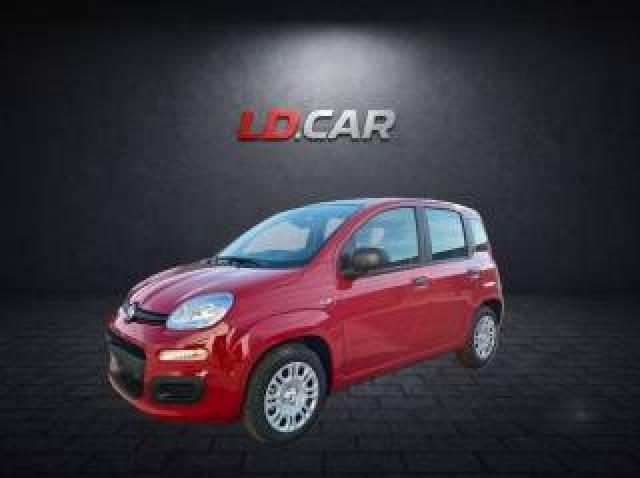 Fiat Pandina 1.0 Firefly 69cv Hybrid Pandina Icon 5 Posti 