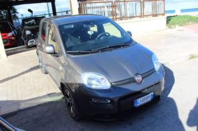 Fiat Panda 1.0 Firefly S&s Hybrid Sport 
