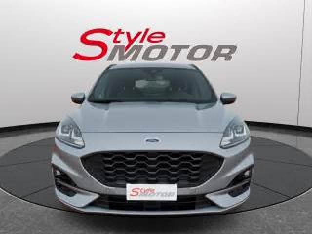 Ford Kuga 1.5 Ecoblue 120 Cv Aut. 2wd St-Line 