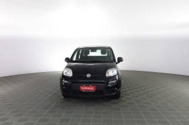 Fiat Panda Panda 1.0 Firefly S&s Hybrid 