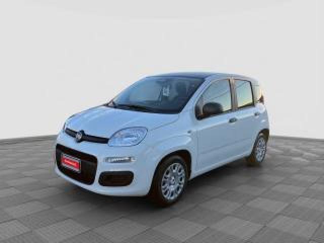 Fiat Panda Pandina 1.0 Firefly 65 Cv Hybrid Icon 