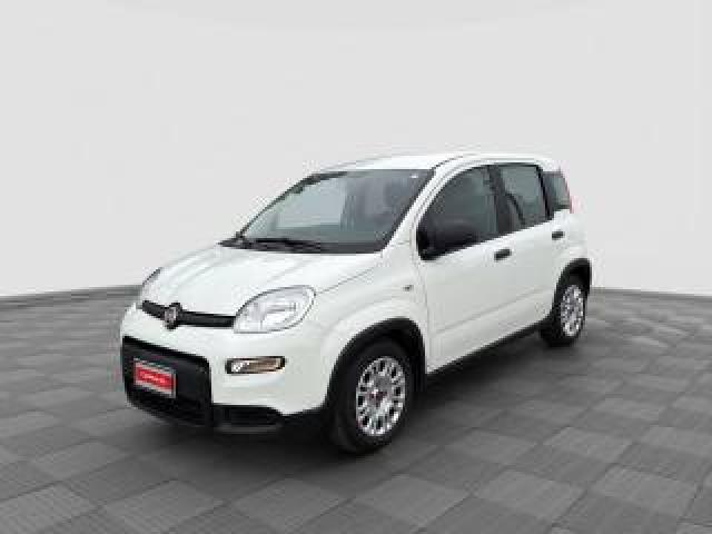 Fiat Panda Panda 1.0 Firefly S&s Hybrid 
