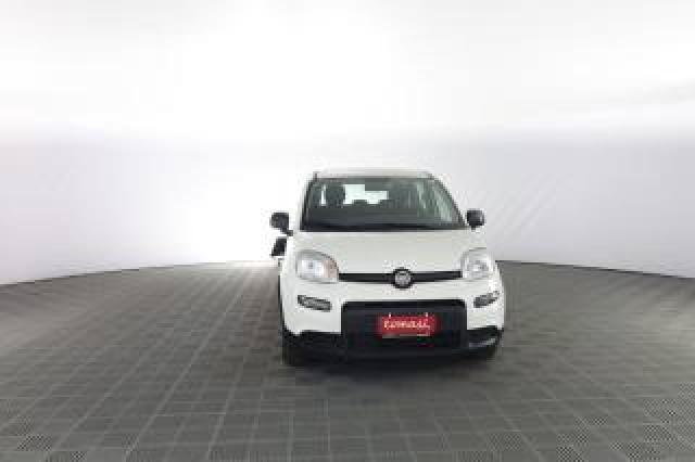 Fiat Panda Panda 1.0 Firefly S&s Hybrid 