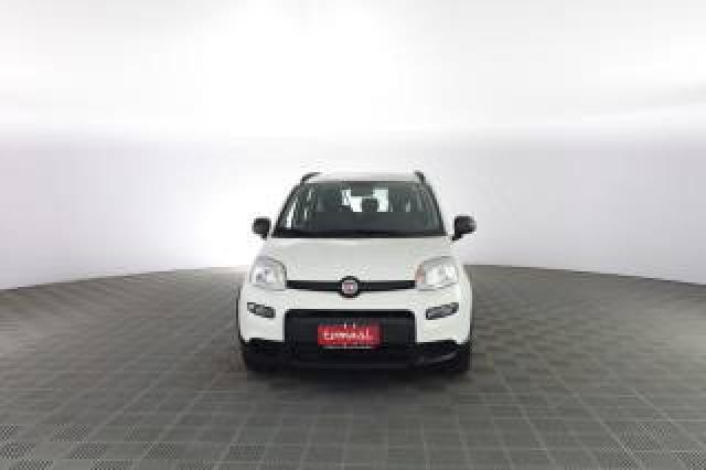 Fiat Panda Panda 1.0 Firefly Hybrid City Life 
