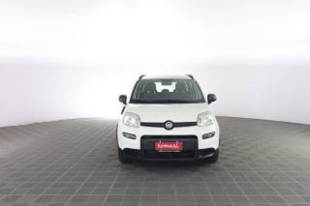 Fiat Panda Panda 1.0 Firefly Hybrid City Life 