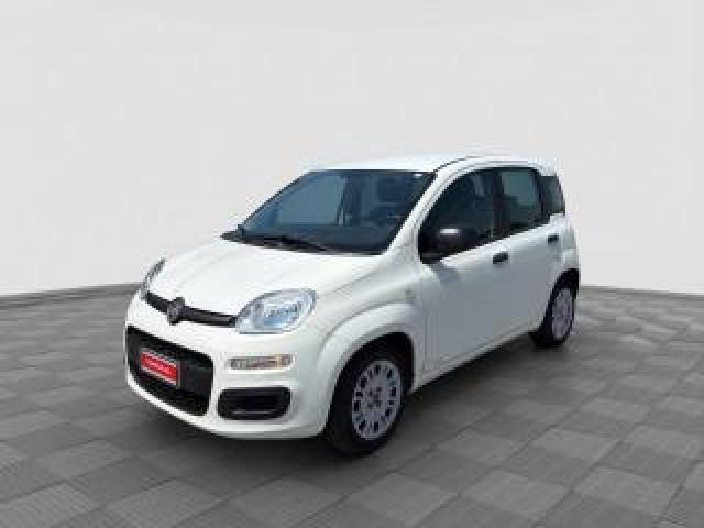 Fiat Panda Panda 1.0 Firefly Hybrid 