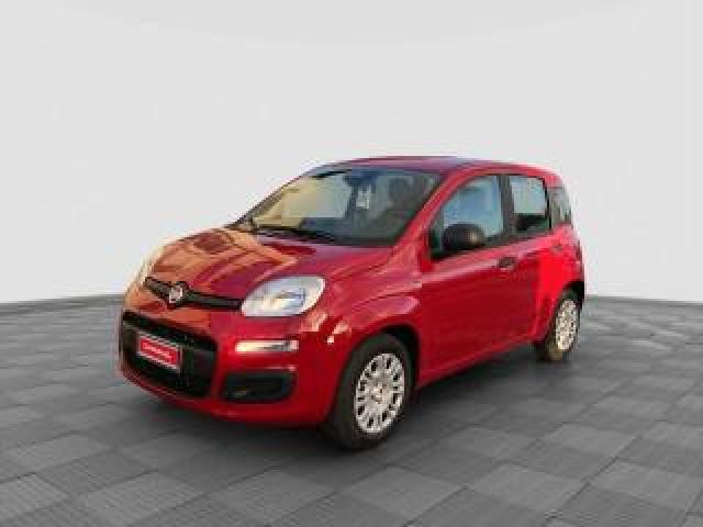 Fiat Pandina Pandina 1.0 Firefly 65 Cv Hybrid Icon 