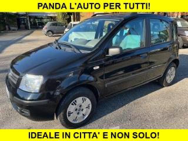 Fiat Panda 1.2 Benzina 5 Posti Neopatentati  