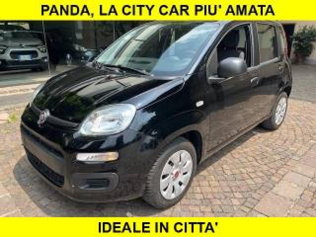 Fiat Panda 1.2 Benzina Euro6 Neopatentati 