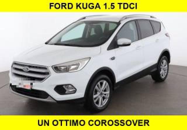 Ford Kuga 1.5 Tdci 120 Cv S&s 2wd  