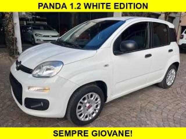 Fiat Panda 1.2 White Edition Euro 6 