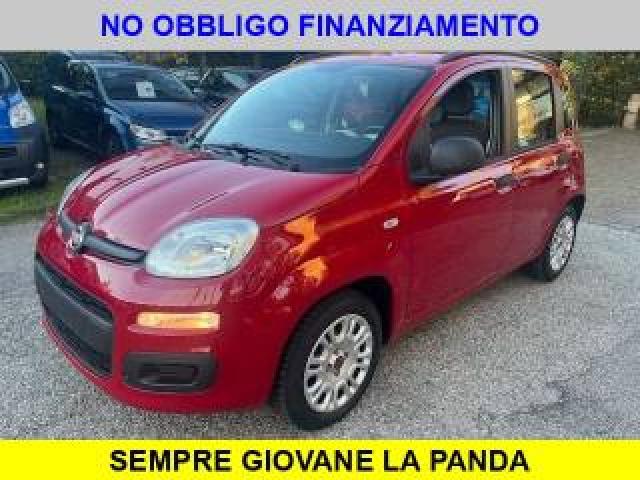 Fiat Panda 1.2 Red Collection 