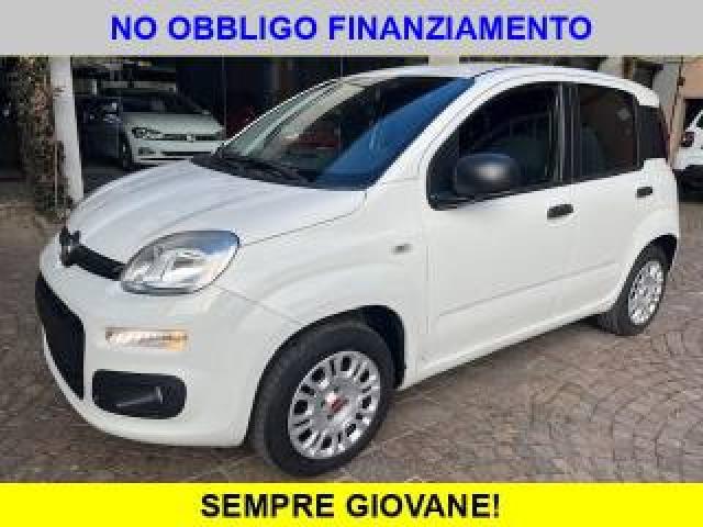 Fiat Panda 1.2 White Edition Euro 6 