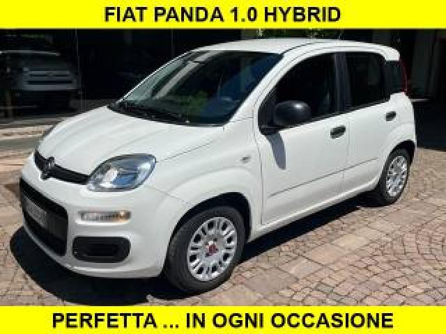 Fiat Panda 1.0 5 Posti Hybrid 