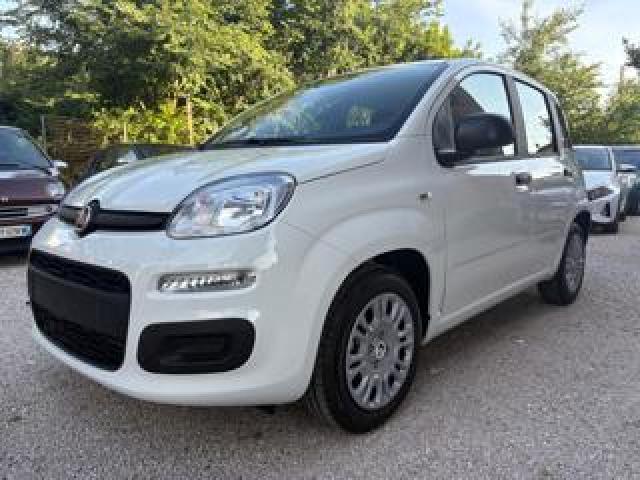 Fiat Panda 1.0 S&s Hybrid 4 Posti 