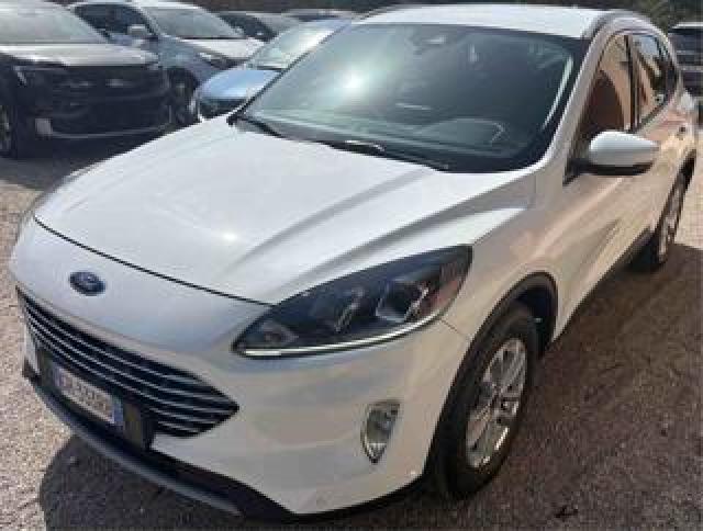 Ford Kuga 1.5 Ecoblue 120 Cv Titanium Business 