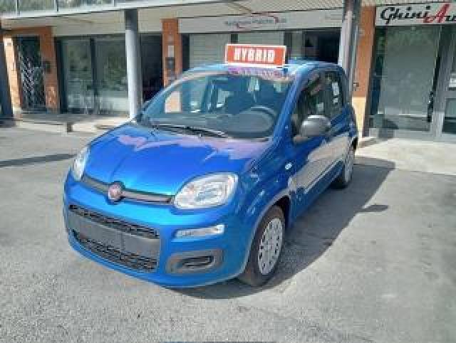 Fiat Panda 1.0 Firefly S&s Hybrid Icon 